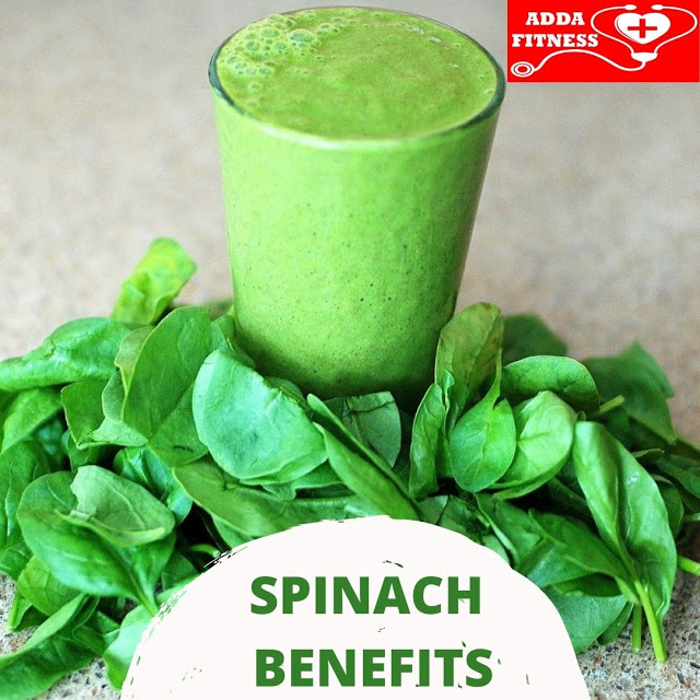 19 Amazing Benefits of Spinach