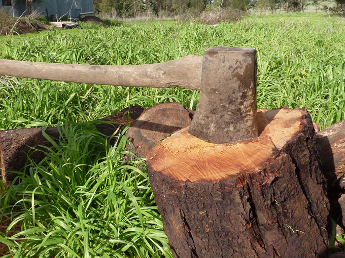 axe-in-wooden-log