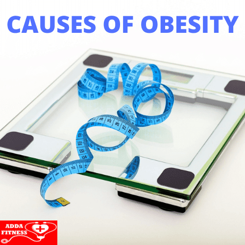 What Causes Obesity Why are you Obese